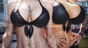 strip fight 3d hentai